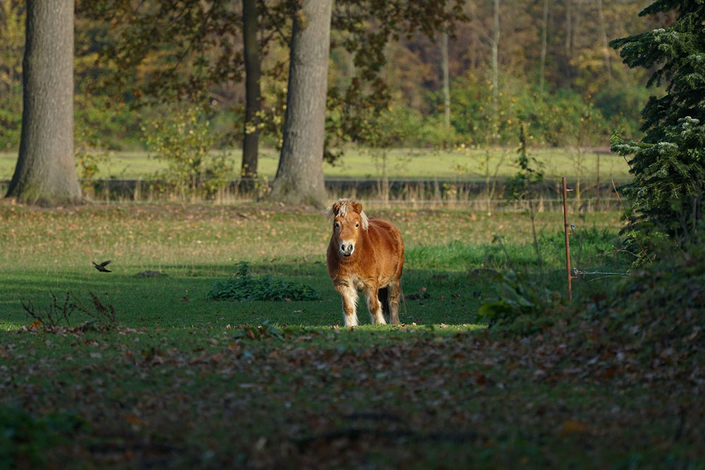 Dieses Bild hat ein leeres alt-Attribut; sein Dateiname ist DSC00014.jpg.